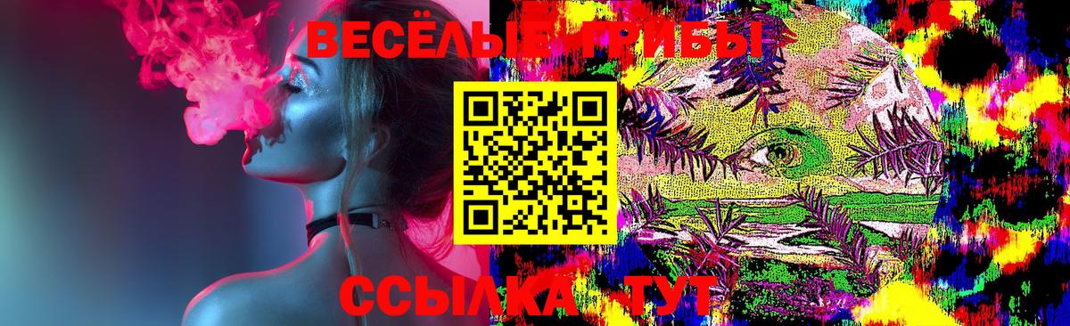 Галлюциногенные грибы мухоморы  Вход с VPN  Ржев  Псилоцибиновые грибы Psilocybe 